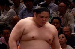 Võ sỹ bị cúm thi đấu, Hiệp hội Sumo thừa nhận sai sót