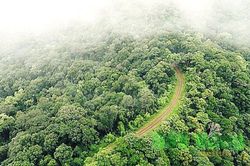 Thu dịch vụ môi trường rừng đạt 3.000 tỷ đồng