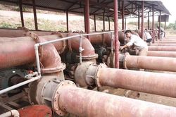 Từ ngày 20/1 – 24/2, sẽ cấp điện 24/24h cho các trạm bơm lấy nước vụ Xuân