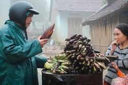 Chợ ven rừng