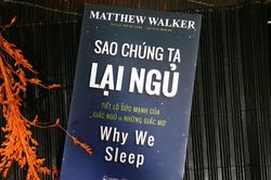 Khám phá sức mạnh của giấc ngủ