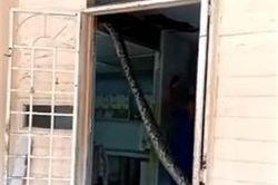 Chủ nhà mở cửa, điếng người thấy cảnh trăn khổng lồ 'làm loạn'