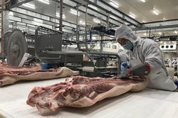 Thêm nhiều 'ông lớn' đầu tư vào ngành nông nghiệp