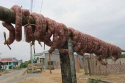 Tung lò mò, lạ miệng lại ngon!