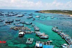 Đảm bảo cung ứng đủ hàng Tết cho người dân huyện đảo