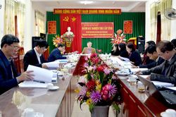 Nghiệm thu đề tài nhân giống keo bằng mô - hom