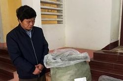 Mua 148kg pháo lậu từ dân bốc vác về bán kiếm lời
