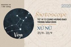 Xem tử vi cung Xử Nữ năm 2020: Sự nghiệp thăng hoa rực rỡ, chuyện tình cảm bình ổn và cần nhiều bứt phá