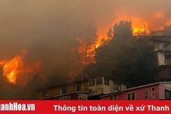 Hỏa hoạn tại khu dân cư ở Chile, khoảng 50 ngôi nhà bị thiêu rụi