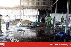 Cháy cơ sở sản xuất trà ở Phú Tân thiệt hại tài sản gần 400 triệu đồng