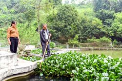 Cá sạch Tràng Đà
