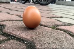 Thử thách dựng đứng quả trứng gây sốt giữa nhật thực 'vòng tròn lửa'
