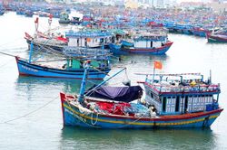 Bảo đảm an toàn cho tàu thuyền trước bão số 8 giật cấp 14