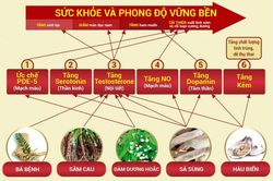 Phong độ đỉnh cao - đón chào Canh Tý