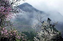 Phố Cáo- Nơi nguyên sơ đến lạ kỳ