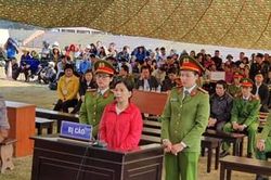 Những diễn biến mới trong phiên Tòa xét xử vụ kỳ án cô gái giao gà