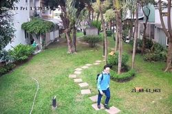 TP. Hồ Chí Minh: Đã bắt được nghi can giết người Hàn Quốc, đốt xe