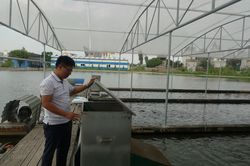 Khởi nghiệp thành công với mô hình tạo 'sông trong ao'
