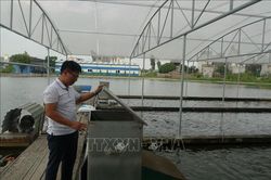 Khởi nghiệp thành công với mô hình tạo 'sông trong ao'
