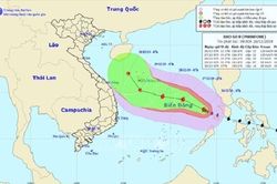 Bão số 8 đi chuyển chậm theo hướng Tây Tây Bắc