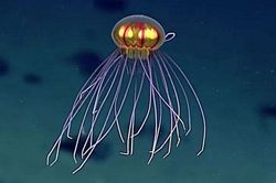 Phát hiện sinh vật lạ như UFO dưới đáy đại dương