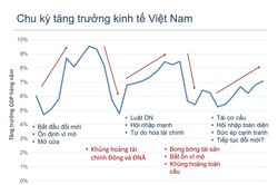 Kinh tế Việt Nam 2019 - Những mảng màu sáng tối