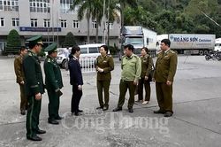 Lạng Sơn: Chưa phát hiện vụ xuất khẩu lợn nào trót lọt