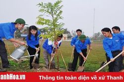 Thanh Hóa phấn đấu trồng khoảng 1 triệu cây xanh dịp Xuân Canh Tý năm 2020