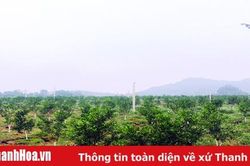 Bảo vệ nguồn nước ngầm cho tương lai