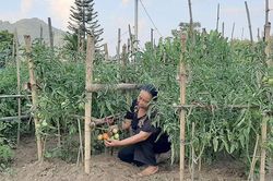 Khuyến khích phụ nữ khởi nghiệp