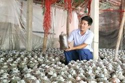 Lan tỏa ước mơ làm giàu