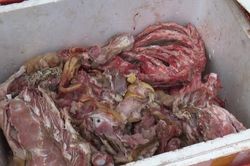 Chặn hơn 1 tấn sản phẩm động vật 'bẩn' trên đường về Hà Nội