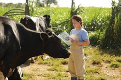 Cô gái Hà Lan tự hào có nguồn sữa nguyên liệu lớn và an toàn hơn chuẩn 11 lần