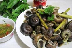 Thưởng thức ốc đá Suối Bàng - món ngon có một không hai của Sơn La