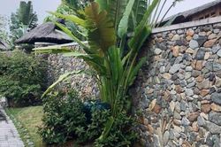 Bí mật sau tờ di chúc của đại gia xây dựng một thời