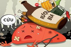 Các hành vi bị nghiêm cấm trong Luật Phòng, chống tác hại của rượu, bia 2019