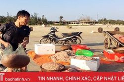 Trúng đậm ruốc biển, ngư dân vùng biển Nam Hà Tĩnh xông xênh sắm Tết