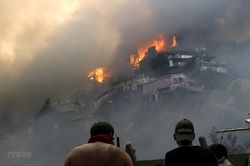 Chile mở rộng điều tra cháy rừng tại thành phố Valparaiso