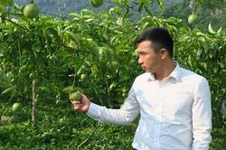 Hòa Bình: Hiện thực hóa ước mơ làm giàu từ đất