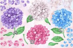 Trắc nghiệm: Bạn muốn thiên hạ đánh giá cao điều gì ở mình?