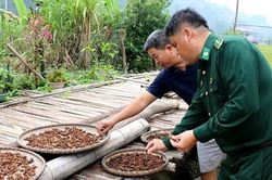 Bộ đội Biên phòng Cao Bằng: Nông thôn mới hơn nhờ có các anh!