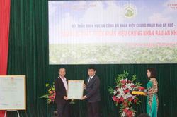 Công bố nhãn hiệu chứng nhận Rau An Khê-Gia Lai
