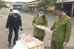 Bắt giữ, tiêu hủy gần 300kg chân gà và phụ gia không rõ nguồn gốc