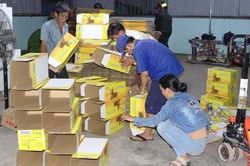 Đường dây sản xuất nước giải khát giả được tổ chức tinh vi