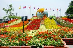 Đường hoa Nguyễn Huệ năm 2020 có gì đặc biệt?