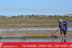 Mở cánh đồng lớn, lần đầu tiên nông dân Kỳ Anh có thửa ruộng rộng trên 1 ha