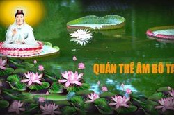 Hoa sen và thuyết luân hồi của Phật giáo