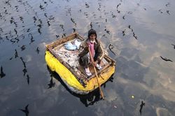 Dòng sông thánh Yamuna của Ấn Độ: 'Dòng sông chết tràn ngập sự sống'