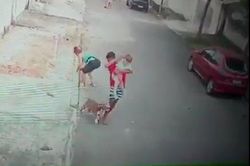 Thót tim cảnh cứu bé trai bị chó dữ tấn công