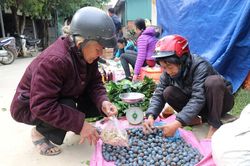 Đặc sản chợ quê xứ Nghệ